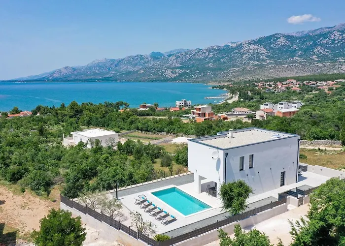 Stellante * Ясенице